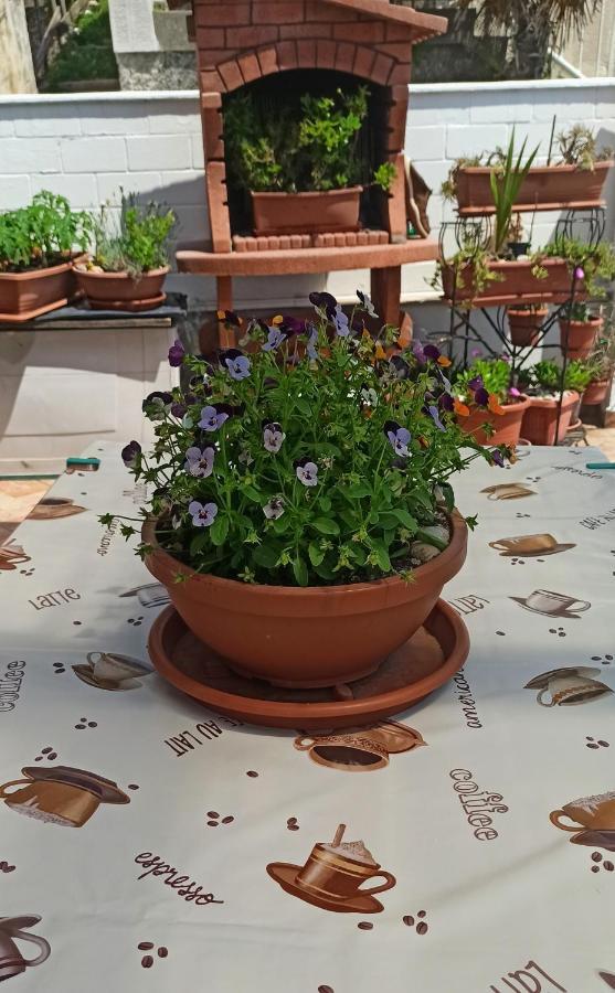 Apartment Mira Baška Kültér fotó